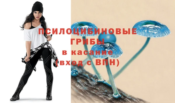 каннабис Алексеевка
