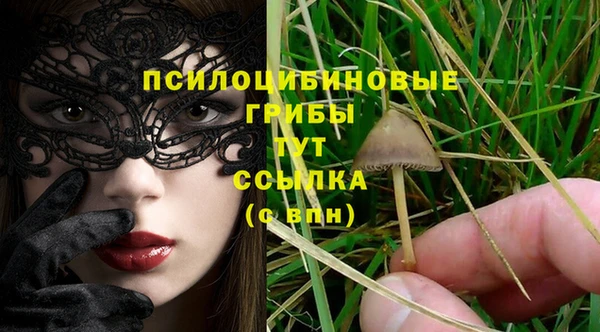 каннабис Алексеевка